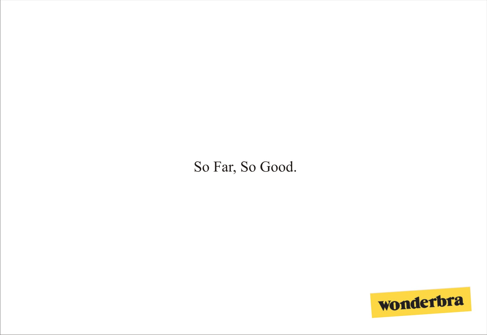 Wonder 2.jpg