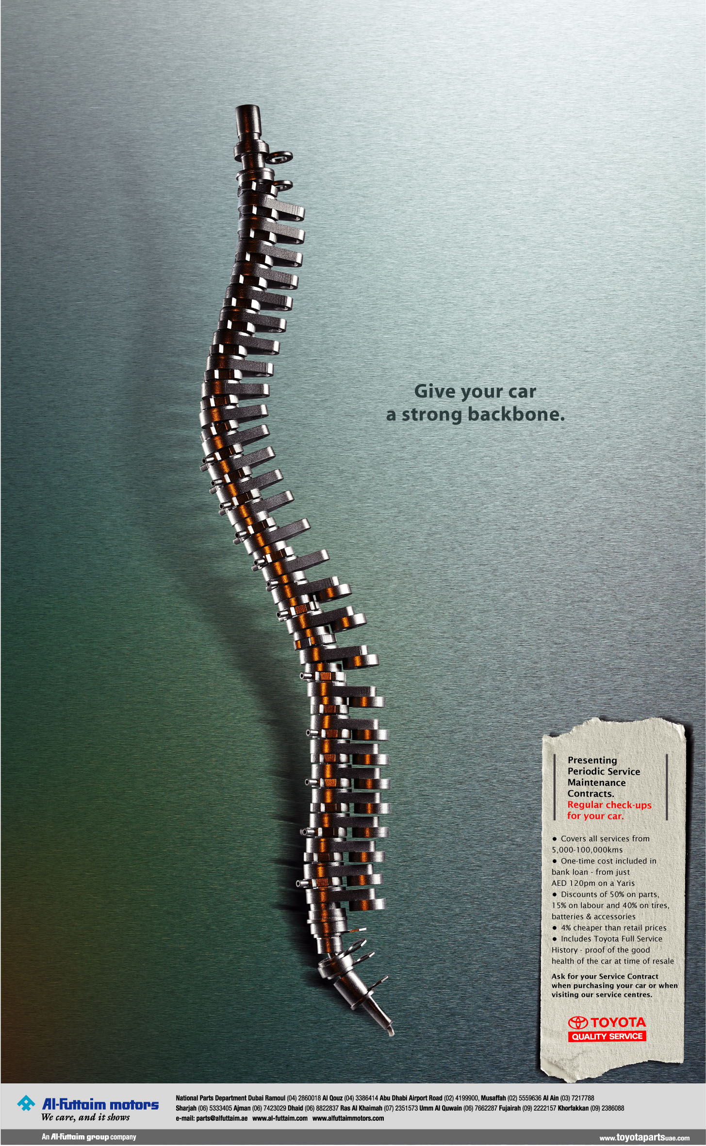 spine.JPG