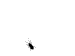 161817.gif
