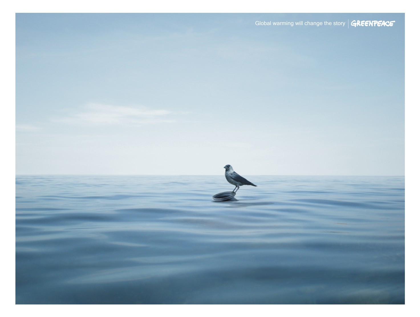 Greenpeace by Brand Harvest