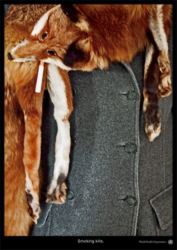 [art director] Susanna Schreibauer [copywriter] Susanna Schreibauer [photographer] Susanna Schreibauer [client] WHO [institute] Fachhochschule Augsburg – University of Applied Sciences, Prof. Gudrun Müllner