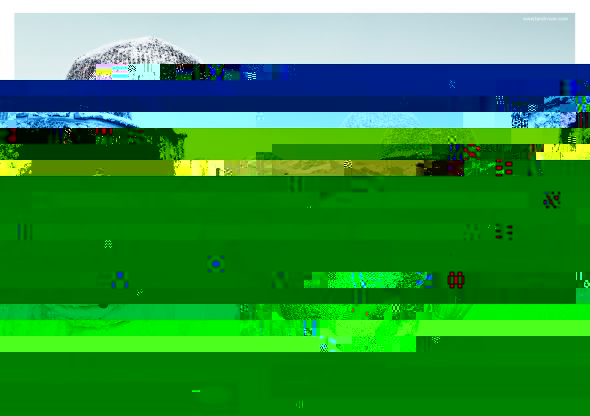 l1.jpg