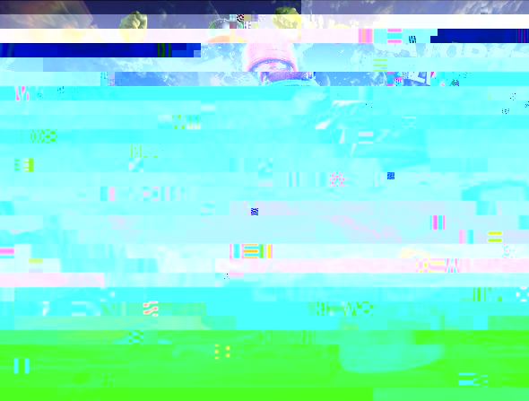 g2.jpg