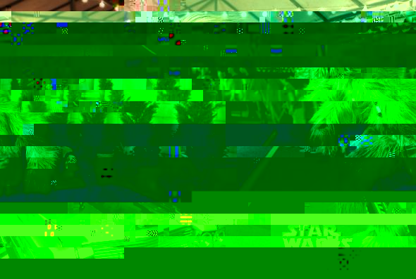 d5.jpg