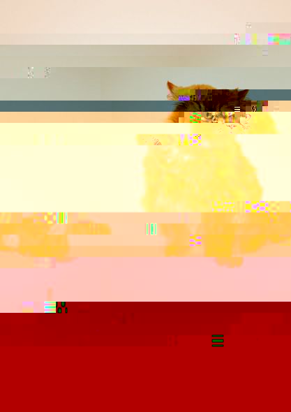 c3.jpg