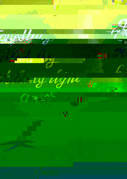 a3.jpeg
