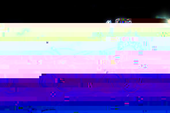 e1.jpg