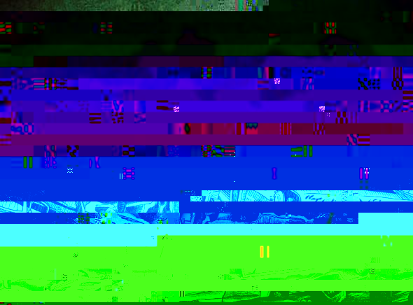 e1.jpg