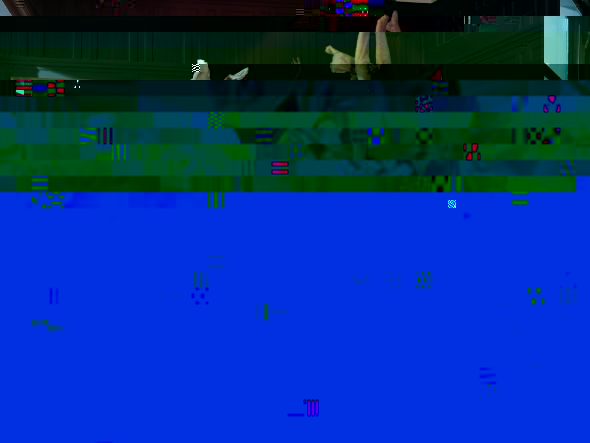 j1.jpg