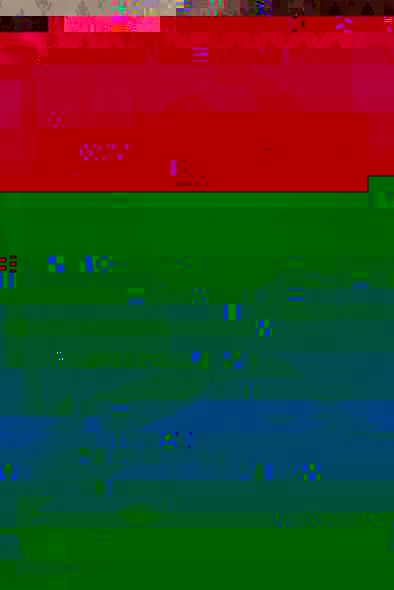 b3.jpg