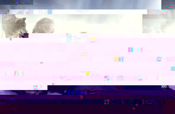 s1.jpg