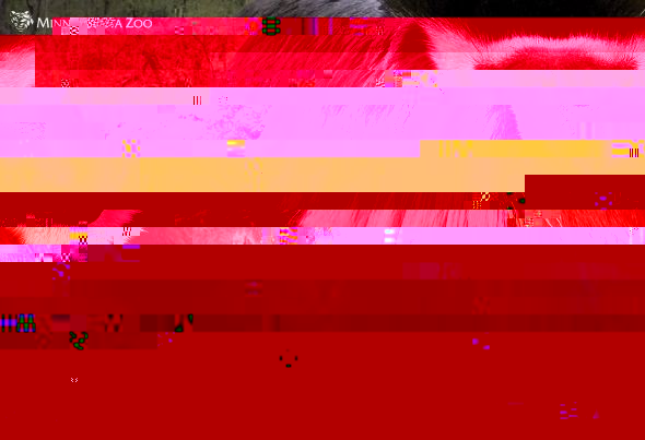 m2.jpg