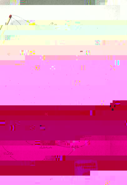 e2.jpg
