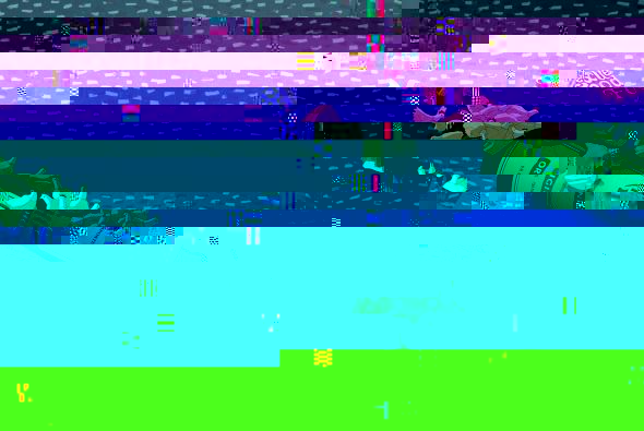 h2.jpg