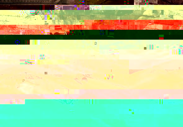 s1.jpg