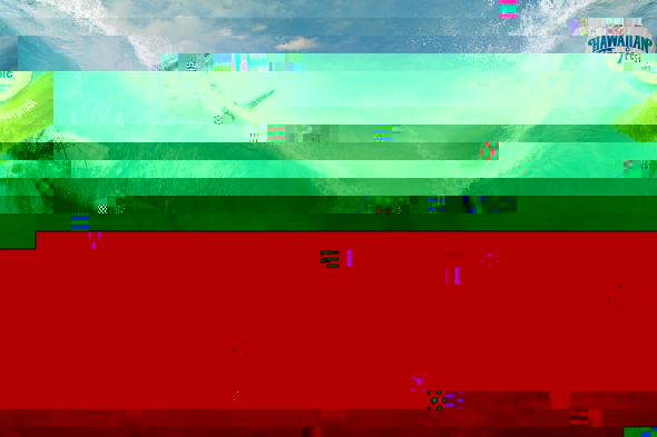 h1.jpg