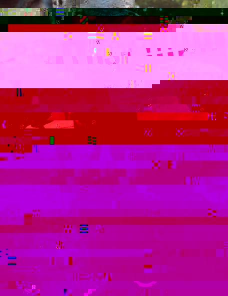 d2.jpg