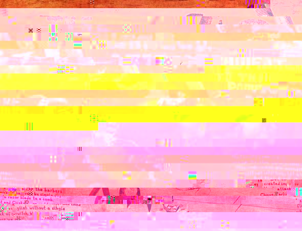 a2.jpg
