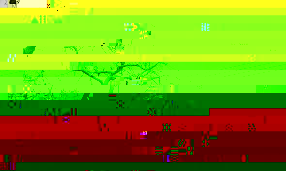 h1.jpg