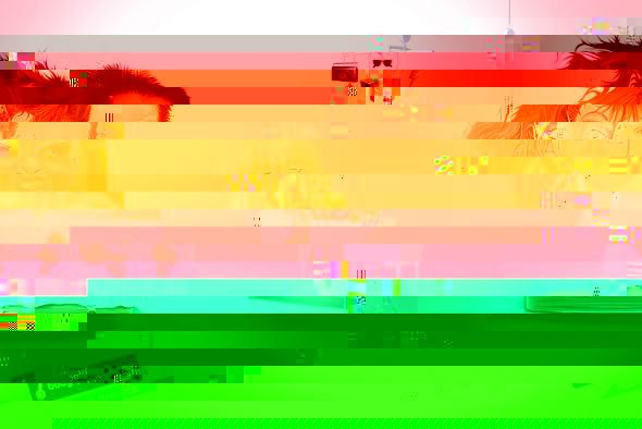 b2.jpg
