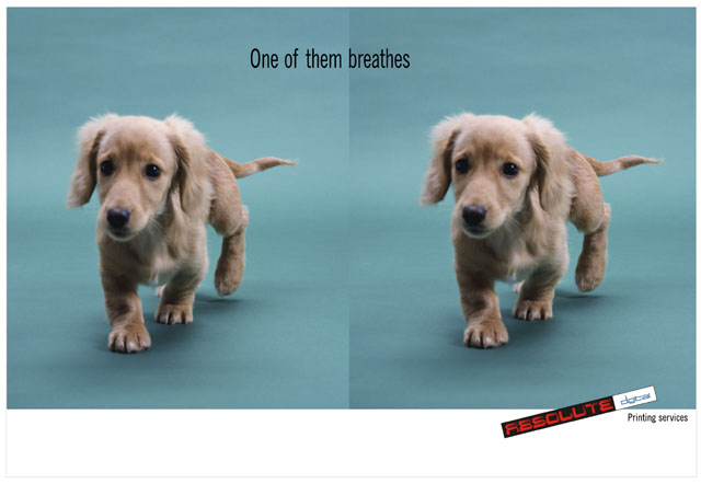 Absolute Printers 1.jpg