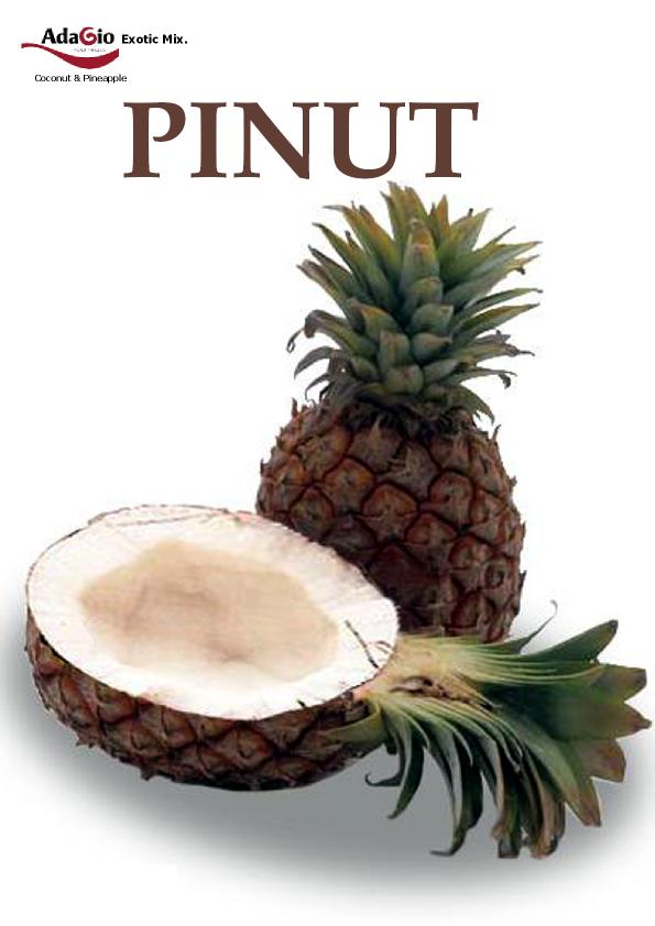 pinut.jpg