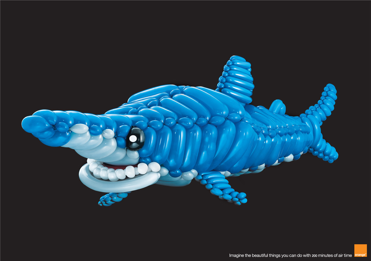 SHARK.jpg