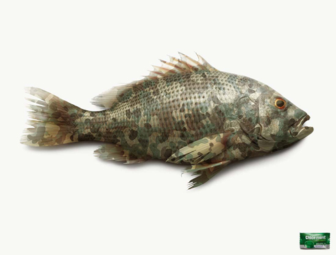 Chlormint Fish