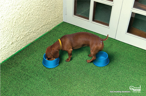 Kennel