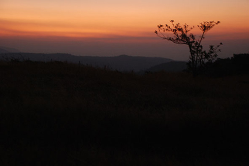 dawn dawn