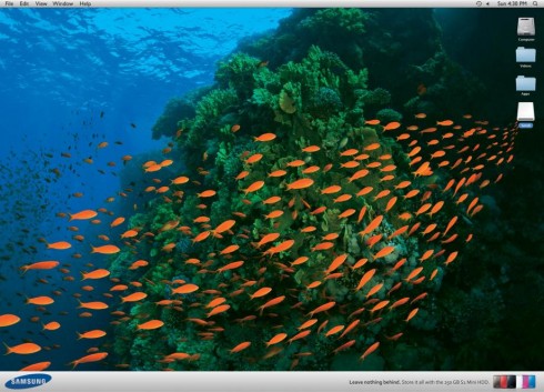 samsung3.fullsize
