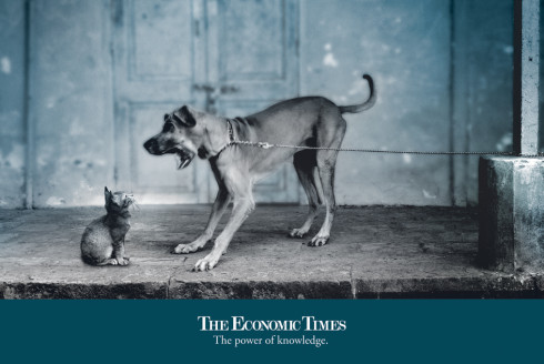 Economic Times Dog Cat