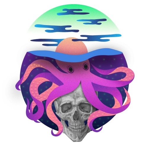 Dawn of the Cephalopod