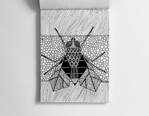 Rohan Dahotare : DesiCreative