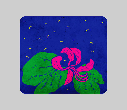 Nidheesh Bharathi Illustration