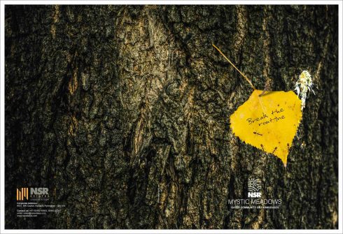 BBR Saatchi & Saatchi presents: “Embracing The Haters”
