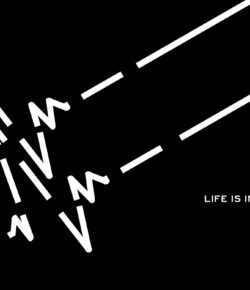Life Is In Your Lane : Student Work