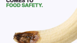 World Food Safety by Post Office Media