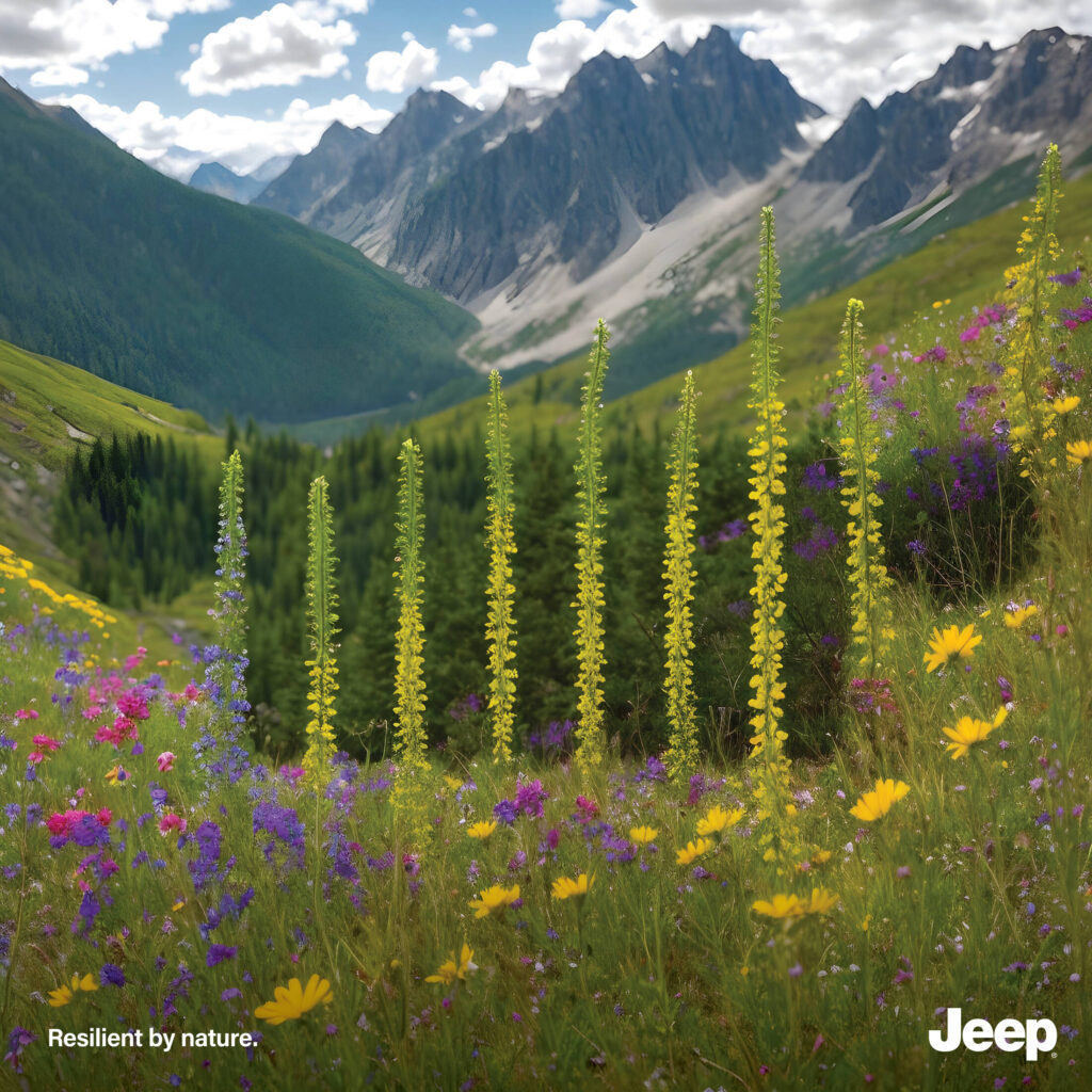 Jeep by Floating Agency