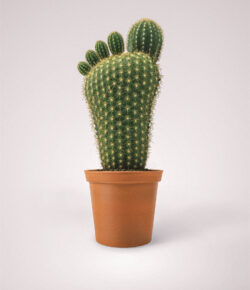 ILS Hospitals by Inner Circle Advertising