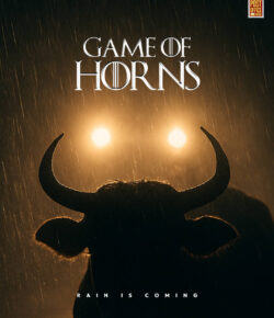 PETA by Post Office Media