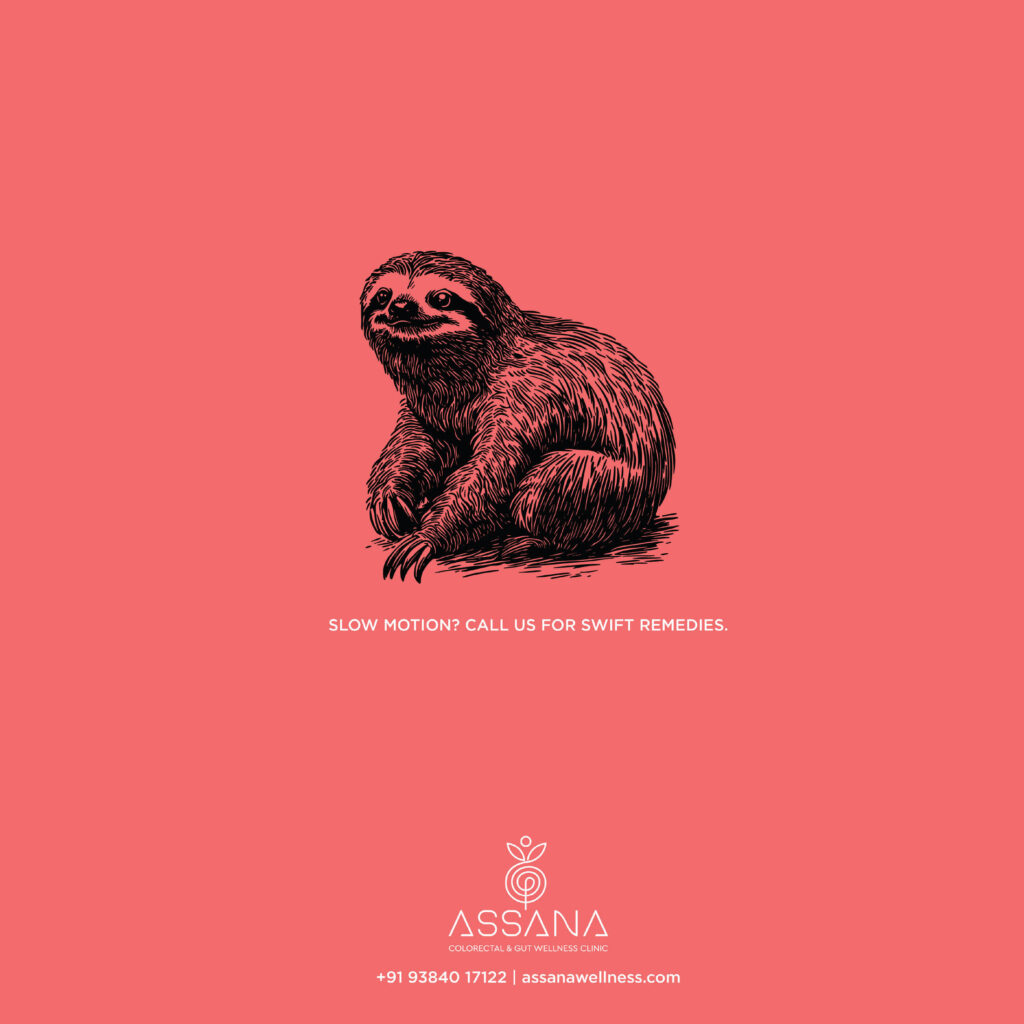 Assana by BePositive24