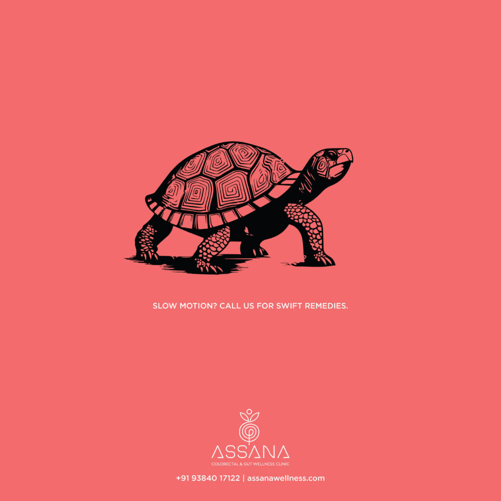 Assana by BePositive24